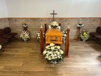 Imagen 9 de nuestra galería